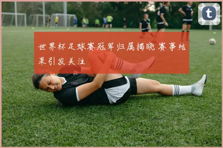 世界杯足球赛冠军归属揭晓 赛事结果引发关注