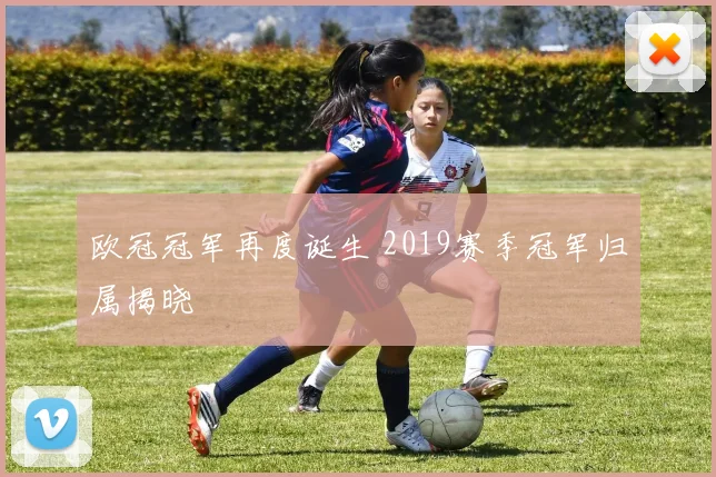 欧冠冠军再度诞生 2019赛季冠军归属揭晓