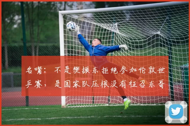 名嘴：不是樊振东拒绝参加伦敦世乒赛，是国家队压根没有征召东哥