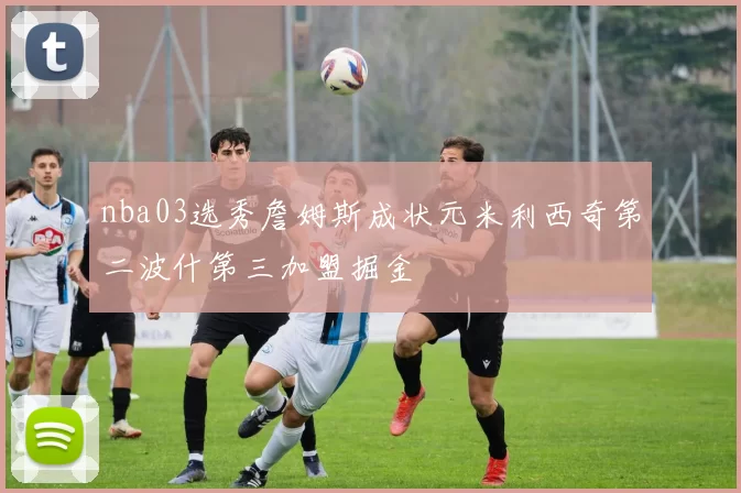 nba03选秀詹姆斯成状元米利西奇第二波什第三加盟掘金